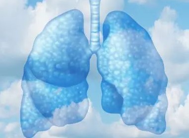 Possible Sources of Indoor Air Pollution